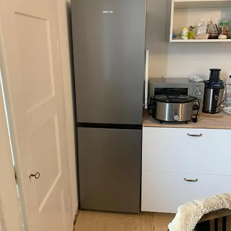 Viehmann Apartment *